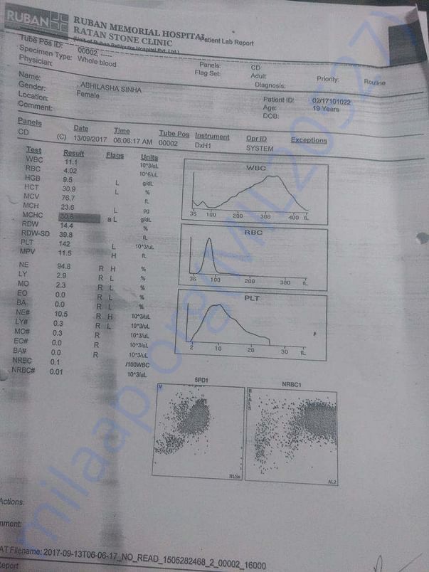doctor report