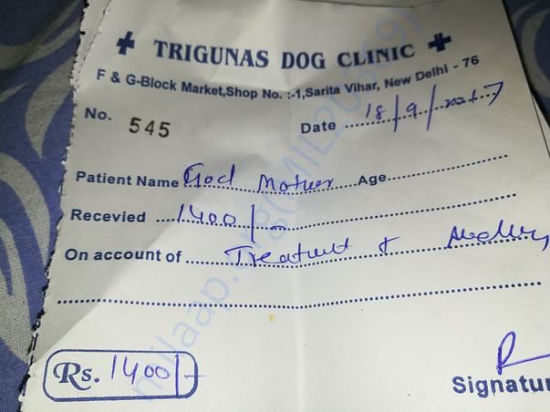 2nd vet bill