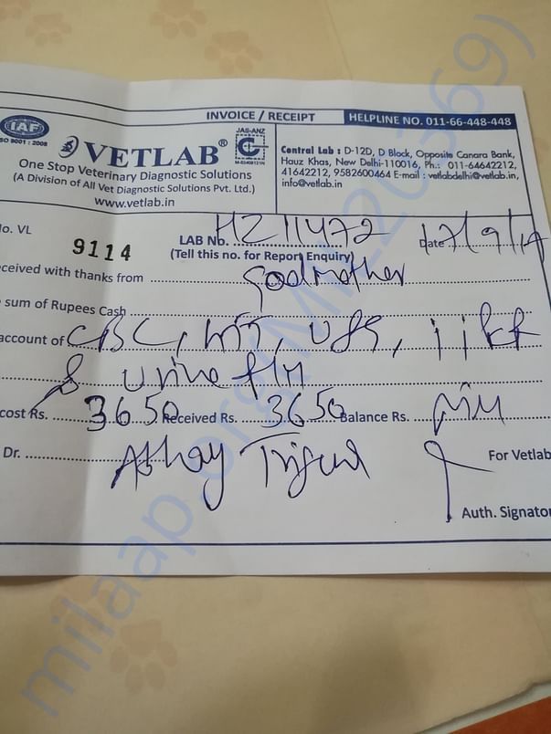 Test bill (ultrasound, urine, PCR, CBC kft lft)