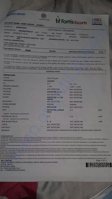 Report2