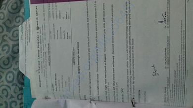 Investigation report