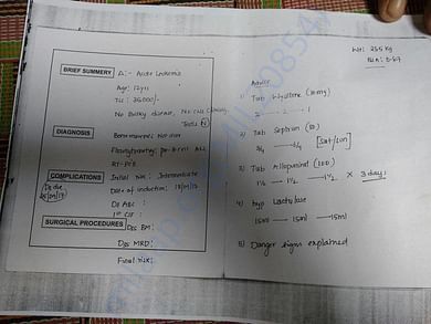Raghav Report