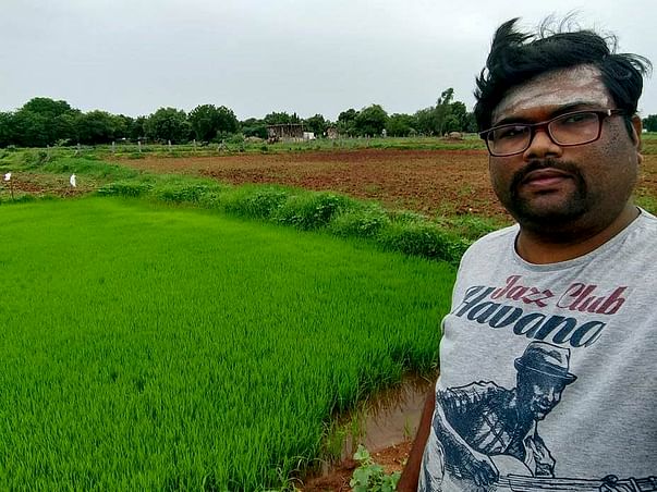 Help Me Build A Shelter For Stray Cows In My Organic Farm