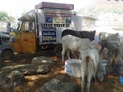 Help us Quench Thirst of Animals in Vijayawada this Summer