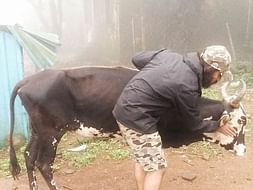 Help Me Cycle Across India To Raise Awareness About Veganism
