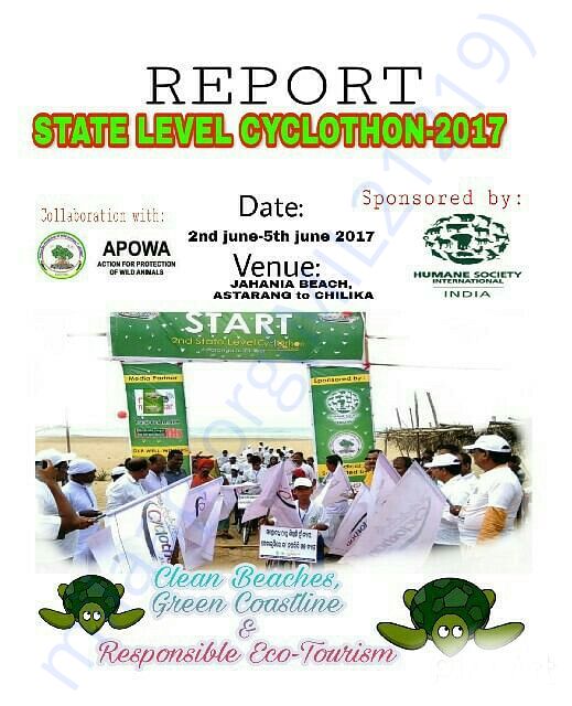 We have many more documents of our work