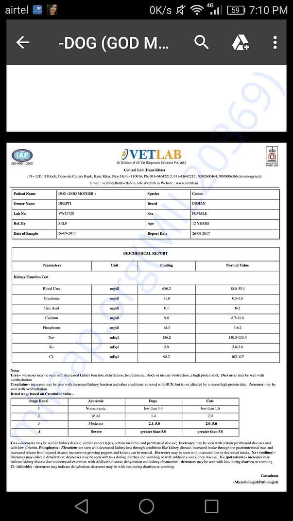 26 September improvement blood test 3