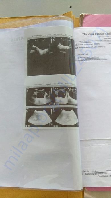 scan report