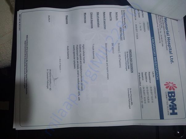BONE MARROW STUDY REPORT