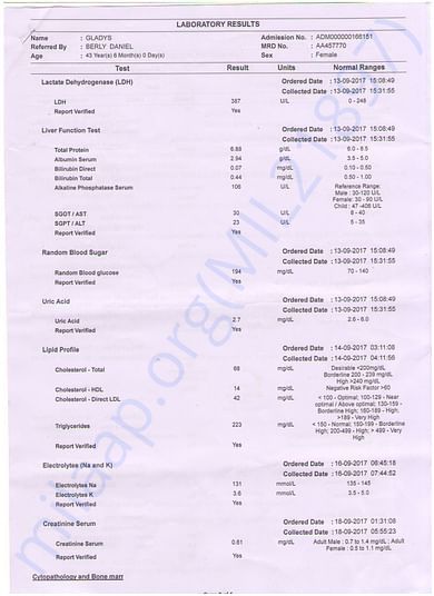 Report page2