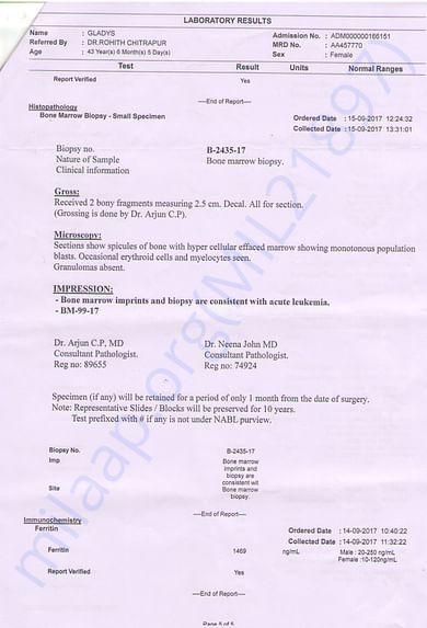 Report Page 5