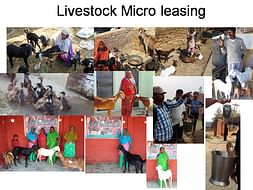 Lend a livestock - Empower an woman