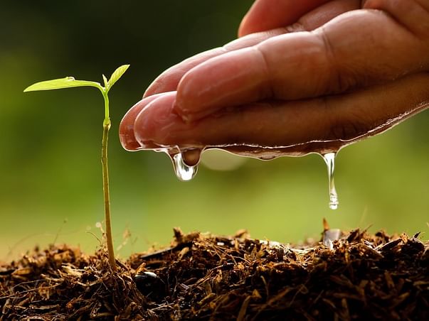 Amma Vaiduloh : Help Save The Green Cover Of India