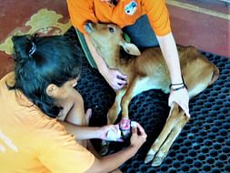 Help Deepa Get Back On Her Feet