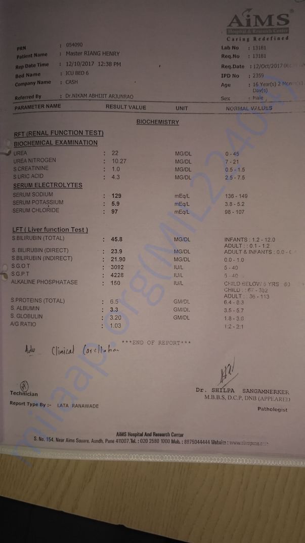 Liver function test