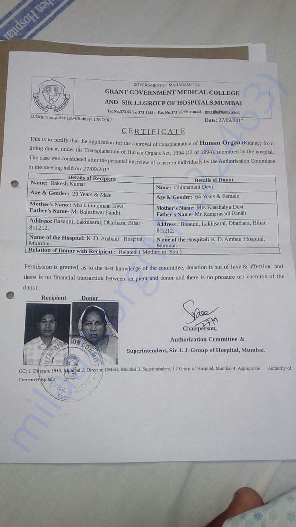 Ceritificate related to Kidney transplantation
