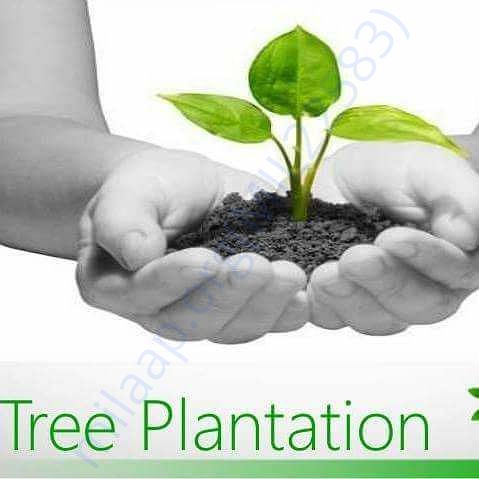 www.facebook.com/Kartavya-Tree-Plantation-Group-112711256015415/
