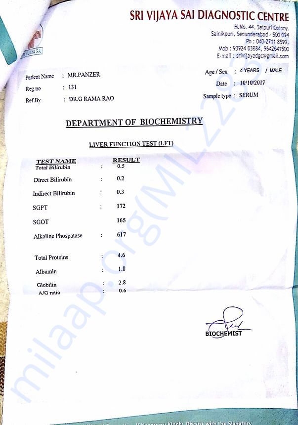 Blood report of Panzer