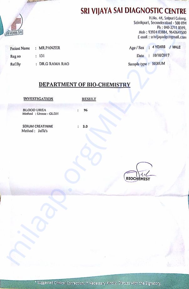 Blood report of Panzer