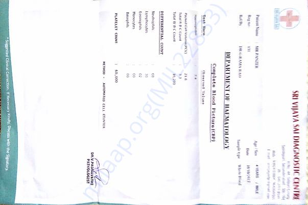 Blood report of Panzer