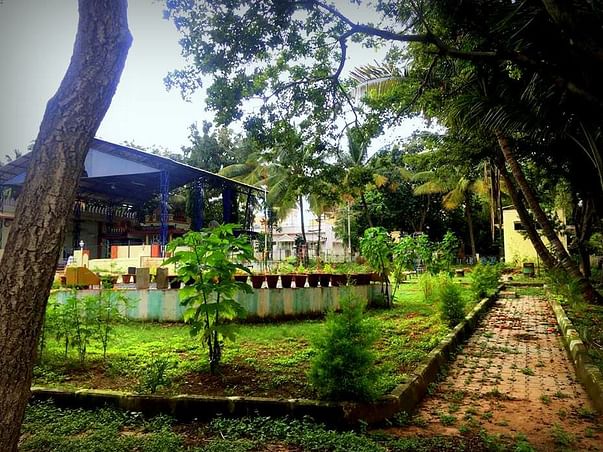 Help Beautify A Dilapidated Park!