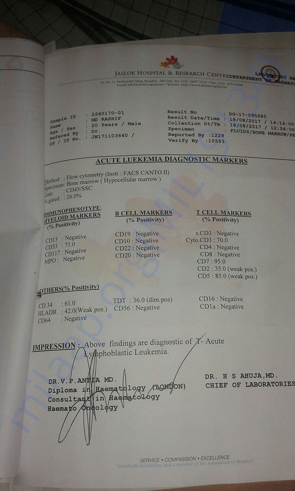 Acute Leukaemia Detection Test Report