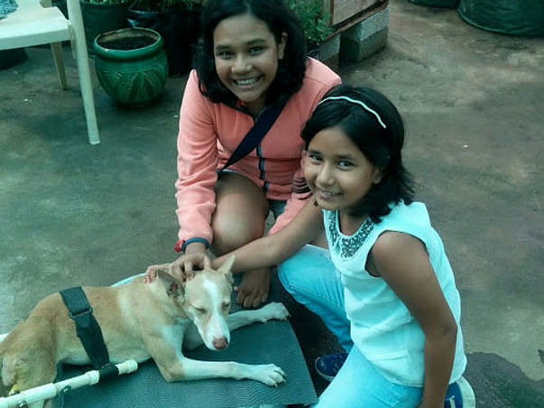 A New Life for Nanuk- The Dog