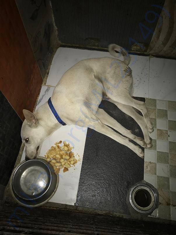 Day spent in shelter after accident
