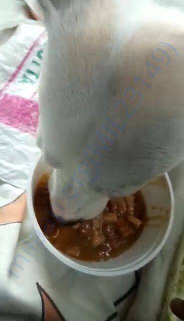 Eating time