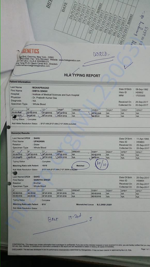 HLA typing report