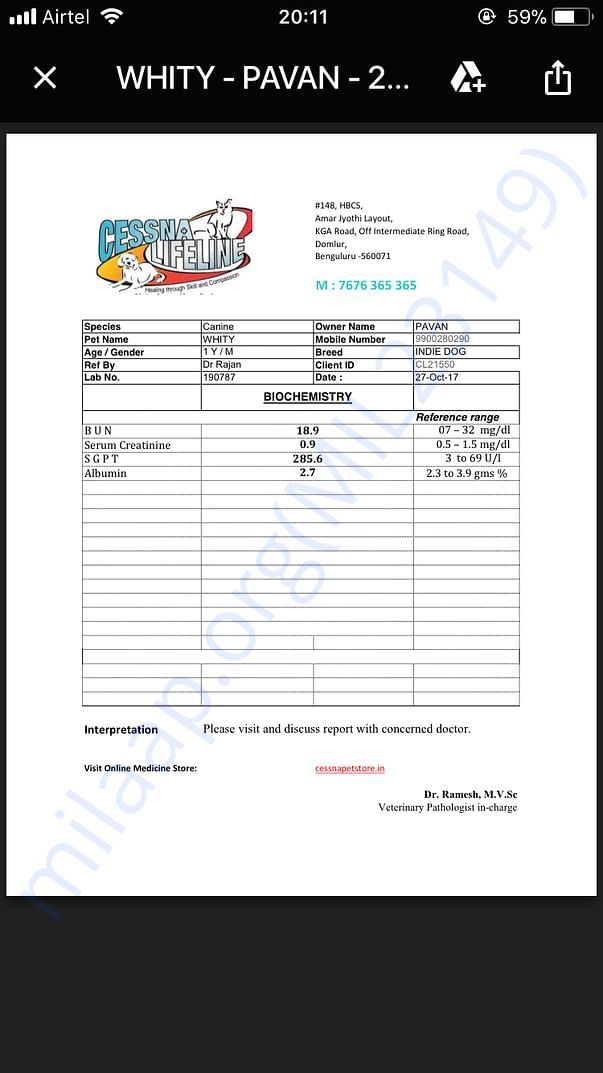 Serum report