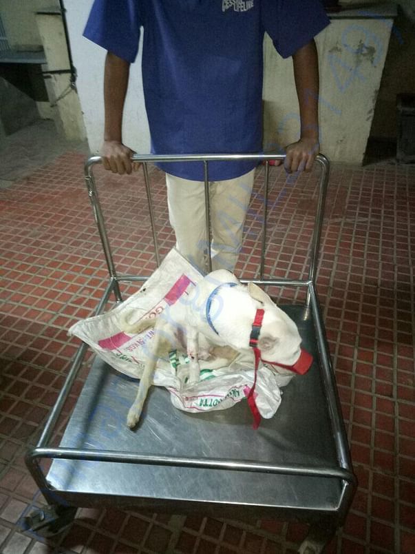 Shifting to inpatient ward