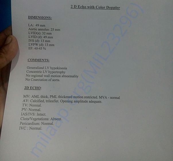 2D ECO report