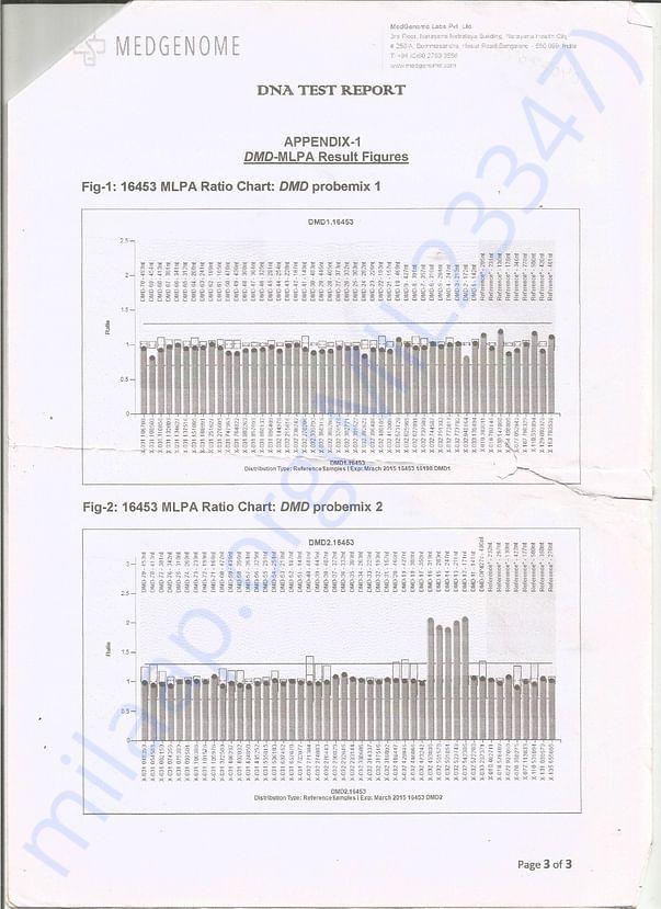 DNA Report 3rd page