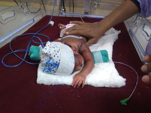 Baby boy photo