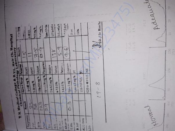 Kidney Report