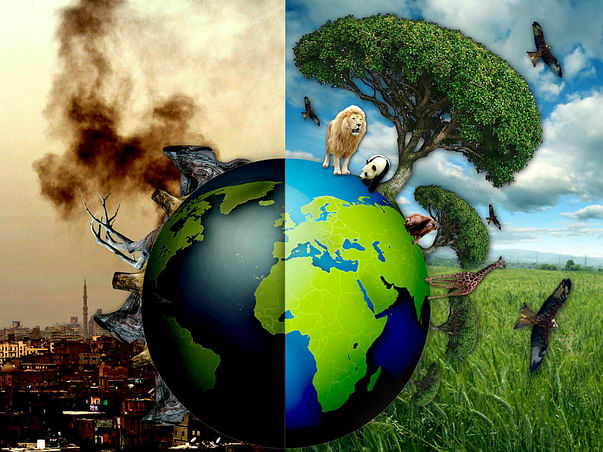 Help in Environmental Protection