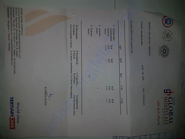 Renal Biopsy