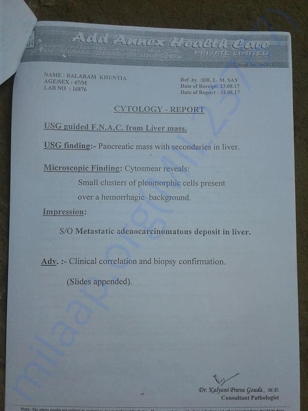 Scan Report