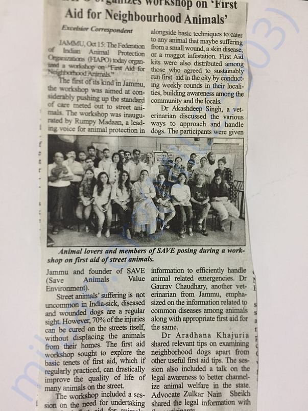 Newspaper Clip