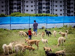 Help This Animal Lover Fulfill His Dream Of Rescuing Dogs