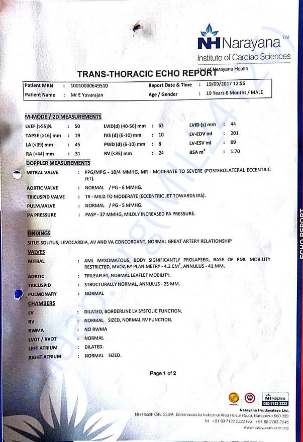 Report 2