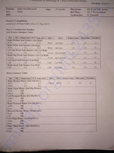 NERVE STUDY PAGE-1