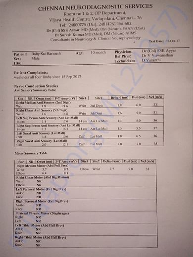 NERVE STUDY PAGE-2