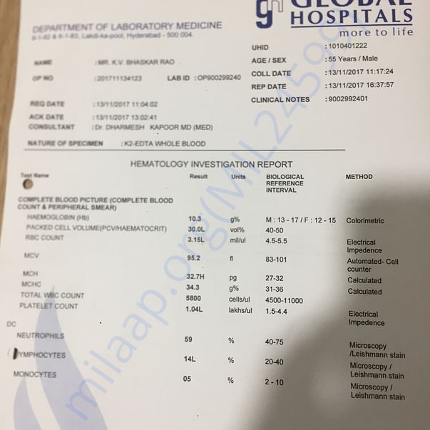 Report6