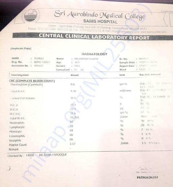 Serum Creatinine Report