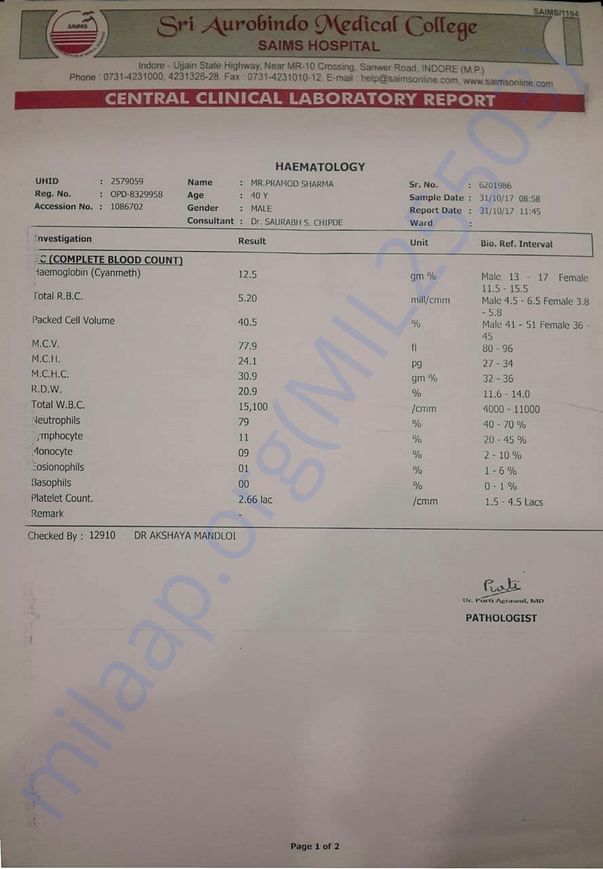 Serum Creatinine Report