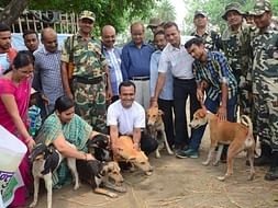 Helping Animals of Bihar