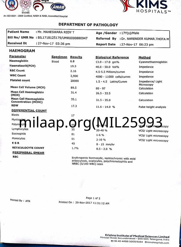 Blood Cancer Report.pdf Blood Cancer | Milaap