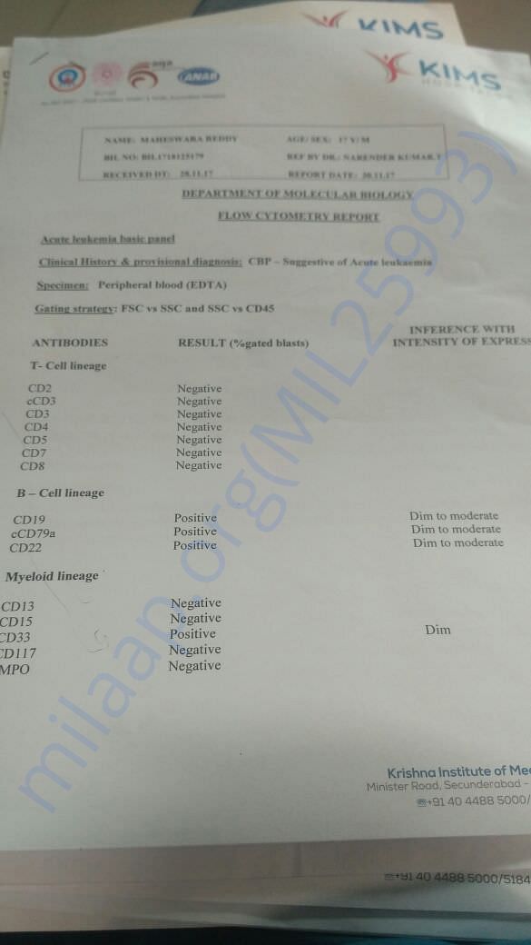 Medical report